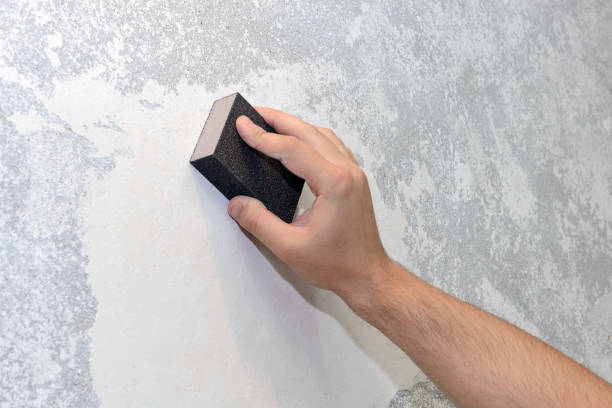 Best Mold Removal for HVAC Installations  in Franklin, GA