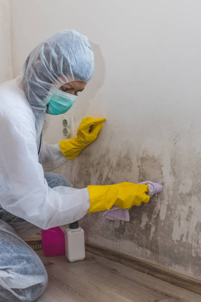 Best Mold Prevention Services  in Franklin, GA