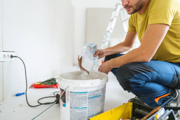 Best Emergency Mold Remediation  in Franklin, GA