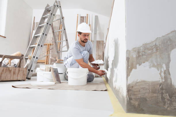 Best Crawl Space Mold Remediation  in Franklin, GA