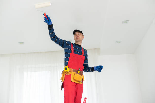 Best Industrial Mold Remediation  in Franklin, GA