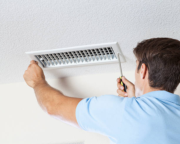 Best Mold Documentation for Insurance Claims  in Franklin, GA