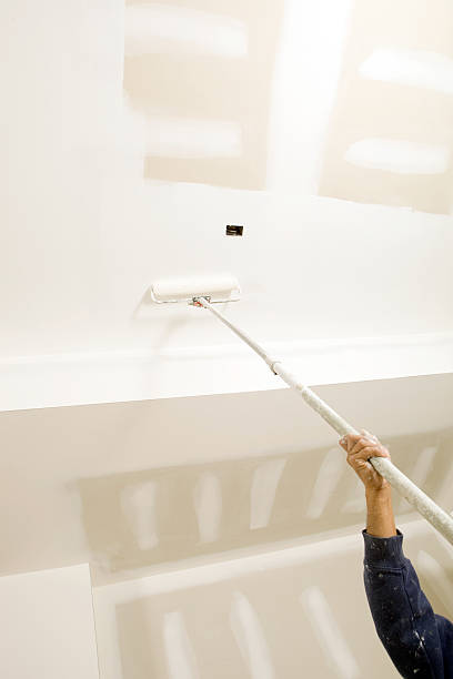 Best Basement Mold Removal  in Franklin, GA
