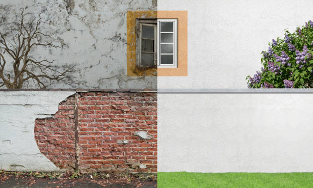 Best Emergency Mold Remediation  in Franklin, GA