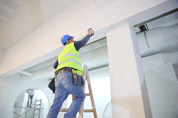 Best Water Damage & Mold Remediation  in Franklin, GA
