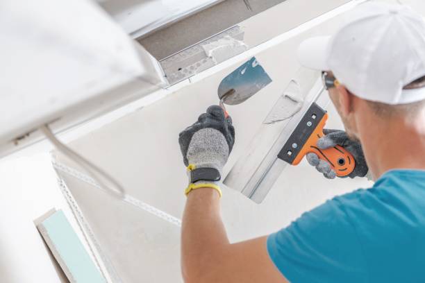 Best Residential Mold Inspection & Testing  in Franklin, GA